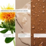 Picture of SkinSense Ceramide24 Pro-Resilience Day Cream 50ml